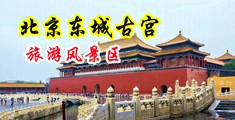 黄色美女日皮最高潮视频中国北京-东城古宫旅游风景区